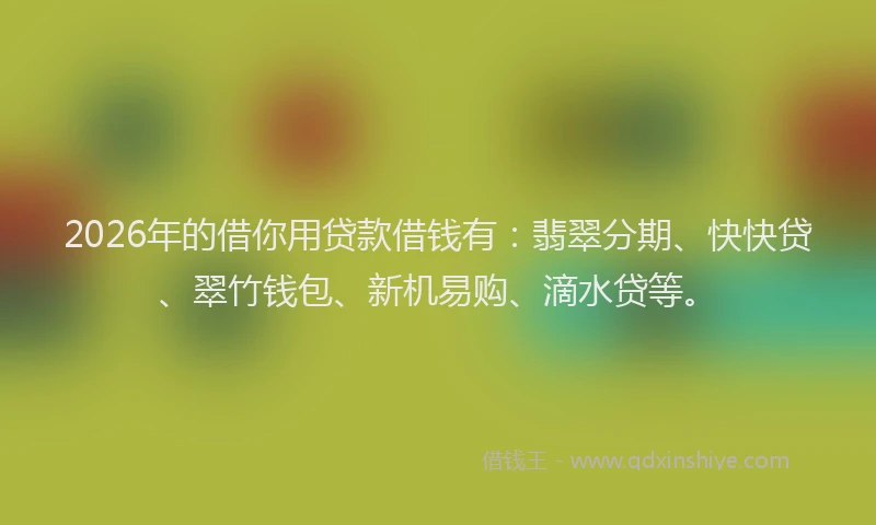 2026年的借你用贷款借钱有：翡翠分期、快快贷、翠竹钱包、新机易购、滴水贷等。