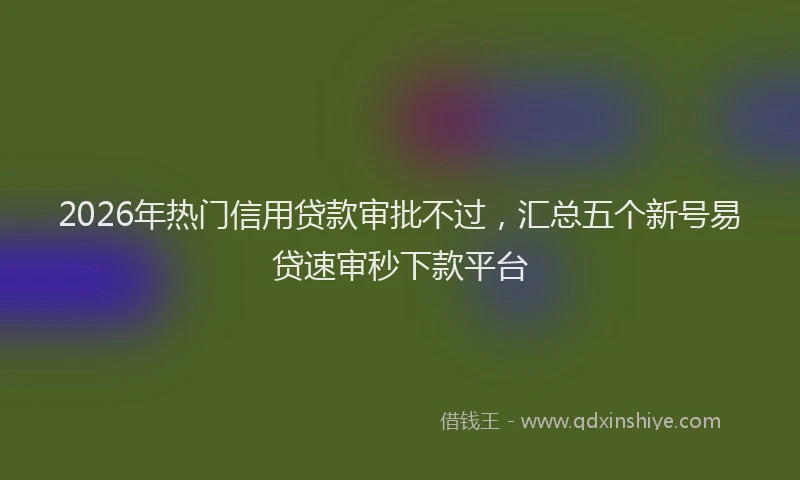 2026年热门信用贷款审批不过，汇总五个新号易贷速审秒下款平台
