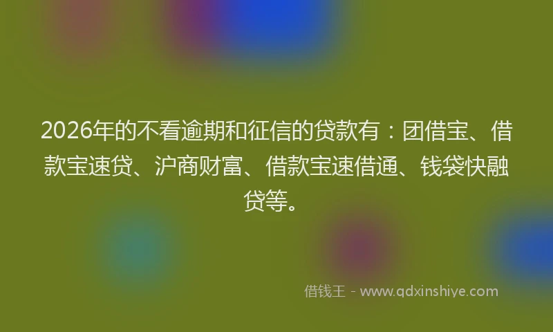 2026年的不看逾期和征信的贷款有：团借宝、借款宝速贷、沪商财富、借款宝速借通、钱袋快融贷等。