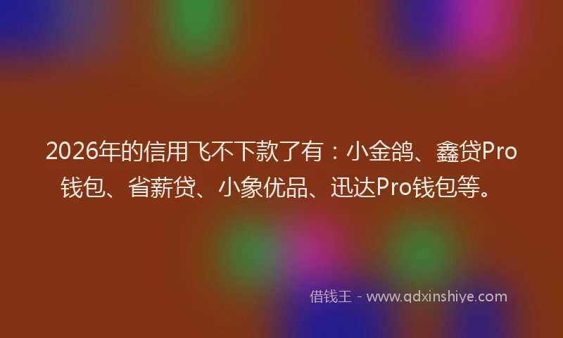 2026年的信用飞不下款了有：小金鸽、鑫贷Pro钱包、省薪贷、小象优品、迅达Pro钱包等。