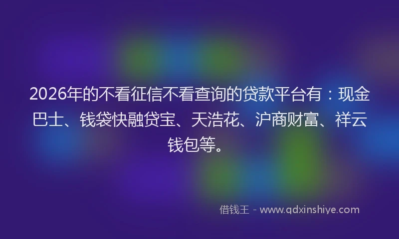 2026年的不看征信不看查询的贷款平台有：现金巴士、钱袋快融贷宝、天浩花、沪商财富、祥云钱包等。