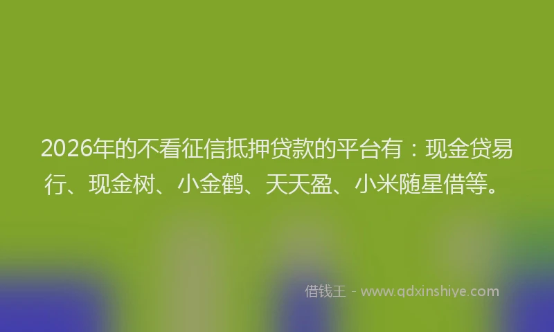 2026年的不看征信抵押贷款的平台有：现金贷易行、现金树、小金鹤、天天盈、小米随星借等。
