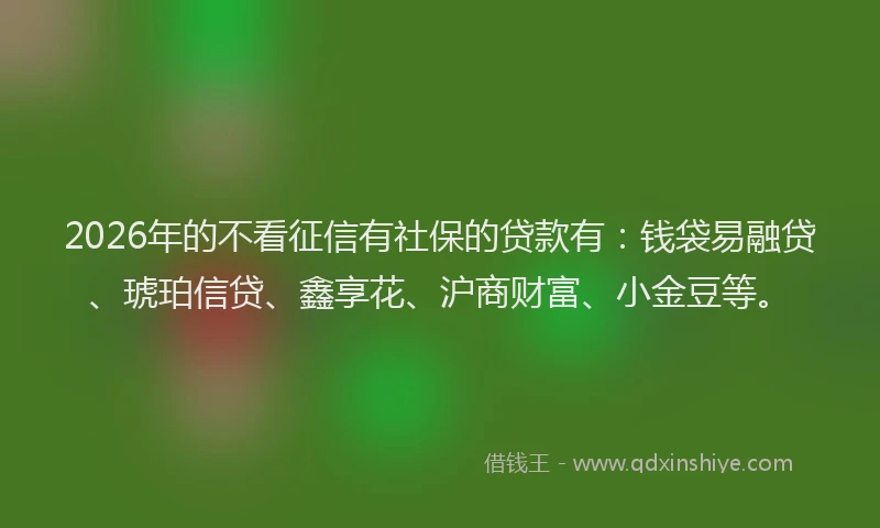 2026年的不看征信有社保的贷款有：钱袋易融贷、琥珀信贷、鑫享花、沪商财富、小金豆等。