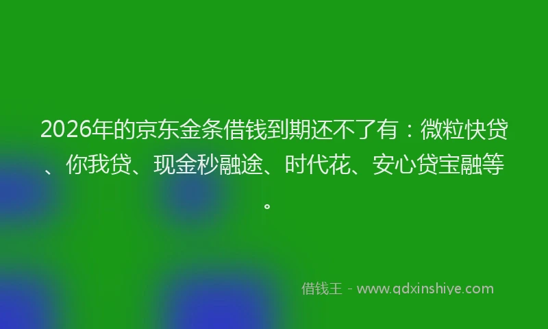 2026年的京东金条借钱到期还不了有：微粒快贷、你我贷、现金秒融途、时代花、安心贷宝融等。