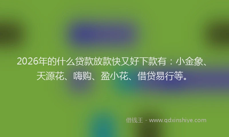 2026年的什么贷款放款快又好下款有：小金象、天源花、嗨购、盈小花、借贷易行等。