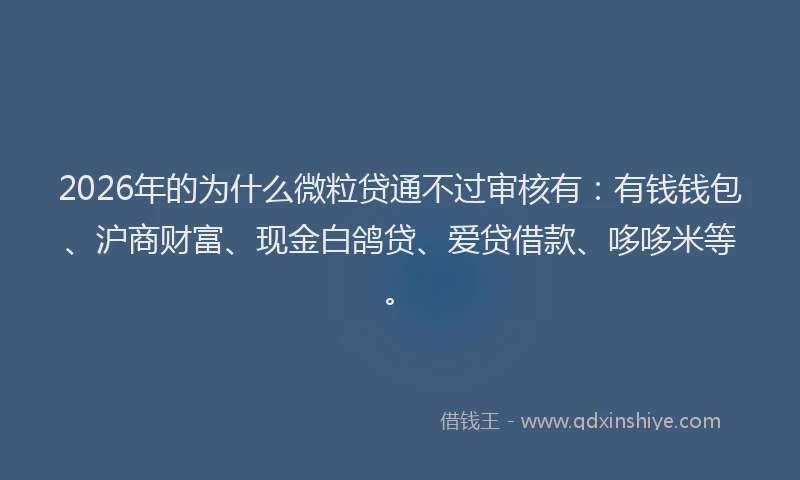 2026年的为什么微粒贷通不过审核有：有钱钱包、沪商财富、现金白鸽贷、爱贷借款、哆哆米等。