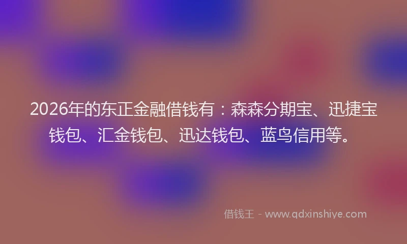 2026年的东正金融借钱有：森森分期宝、迅捷宝钱包、汇金钱包、迅达钱包、蓝鸟信用等。