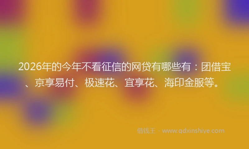 2026年的今年不看征信的网贷有哪些有：团借宝、京享易付、极速花、宜享花、海印金服等。