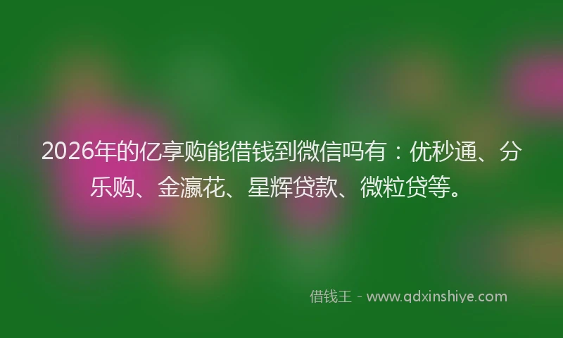 2026年的亿享购能借钱到微信吗有：优秒通、分乐购、金瀛花、星辉贷款、微粒贷等。