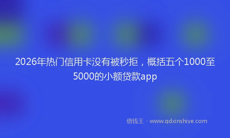2026年热门信用卡没有被秒拒，概括五个1000至5000的小额贷款app