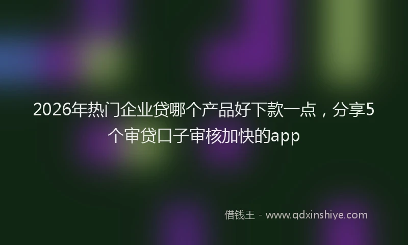 2026年热门企业贷哪个产品好下款一点，分享5个审贷口子审核加快的app
