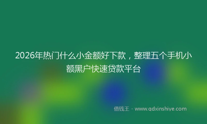 2026年热门什么小金额好下款，整理五个手机小额黑户快速贷款平台