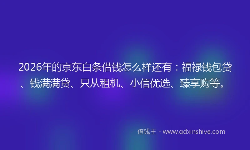 2026年的京东白条借钱怎么样还有：福禄钱包贷、钱满满贷、只从租机、小信优选、臻享购等。