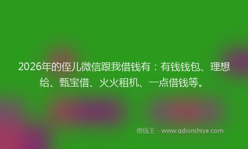 2026年的侄儿微信跟我借钱有：有钱钱包、理想给、甄宝借、火火租机、一点借钱等。