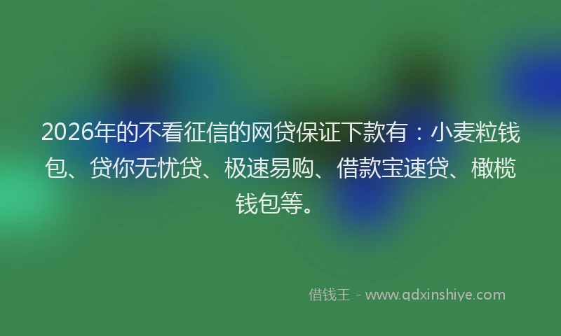 2026年的不看征信的网贷保证下款有：小麦粒钱包、贷你无忧贷、极速易购、借款宝速贷、橄榄钱包等。