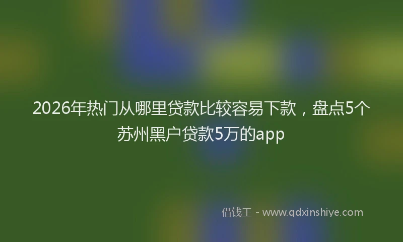 2026年热门从哪里贷款比较容易下款，盘点5个苏州黑户贷款5万的app