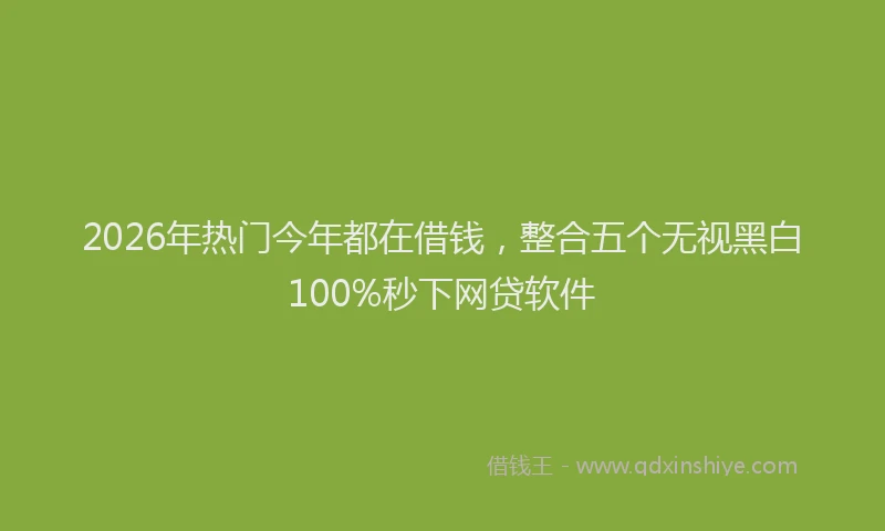 2026年热门今年都在借钱，整合五个无视黑白100%秒下网贷软件