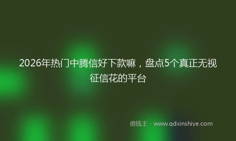 2026年热门中腾信好下款嘛，盘点5个真正无视征信花的平台