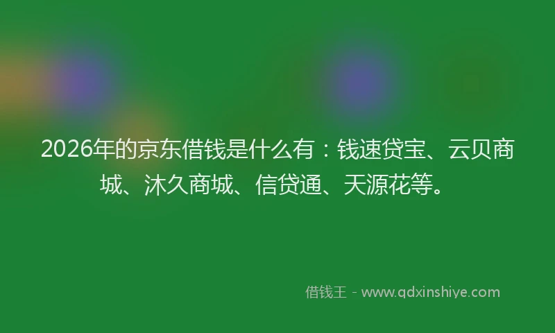 2026年的京东借钱是什么有：钱速贷宝、云贝商城、沐久商城、信贷通、天源花等。