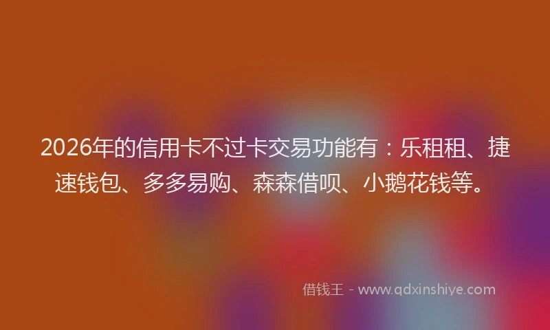 2026年的信用卡不过卡交易功能有：乐租租、捷速钱包、多多易购、森森借呗、小鹅花钱等。