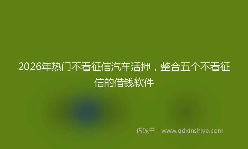 2026年热门不看征信汽车活押，整合五个不看征信的借钱软件