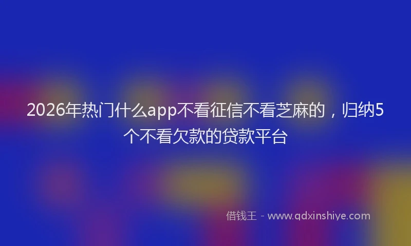 2026年热门什么app不看征信不看芝麻的，归纳5个不看欠款的贷款平台