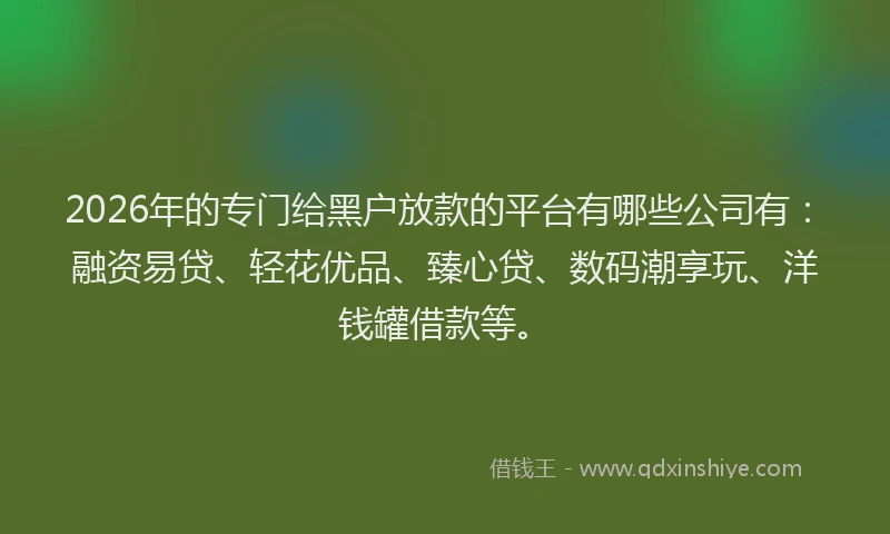 2026年的专门给黑户放款的平台有哪些公司有：融资易贷、轻花优品、臻心贷、数码潮享玩、洋钱罐借款等。
