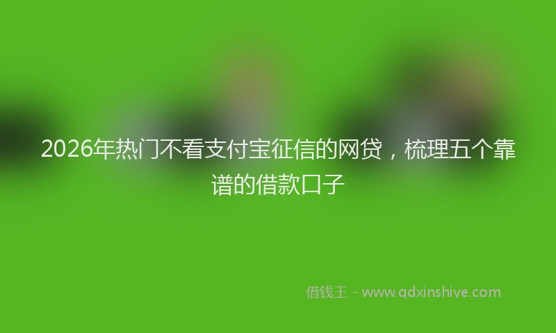 2026年热门不看支付宝征信的网贷，梳理五个靠谱的借款口子