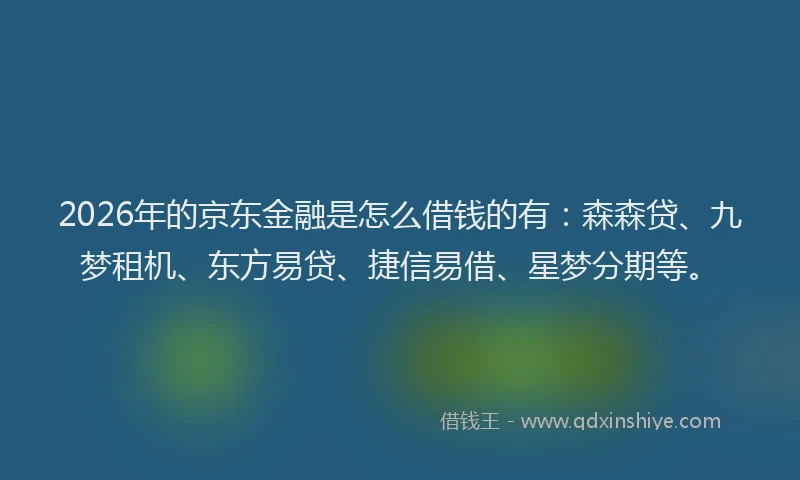 2026年的京东金融是怎么借钱的有：森森贷、九梦租机、东方易贷、捷信易借、星梦分期等。