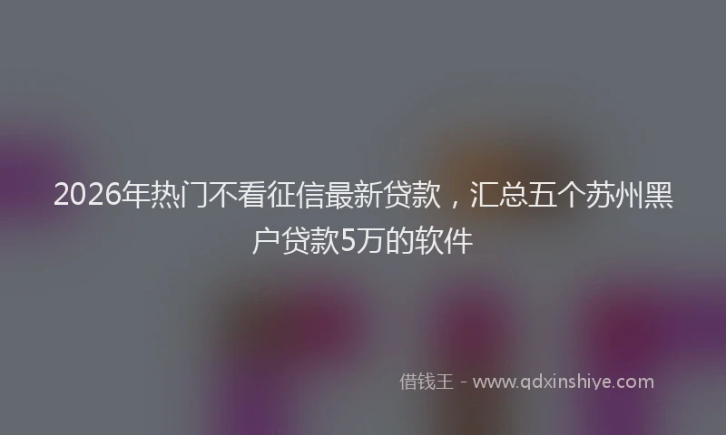 2026年热门不看征信最新贷款，汇总五个苏州黑户贷款5万的软件