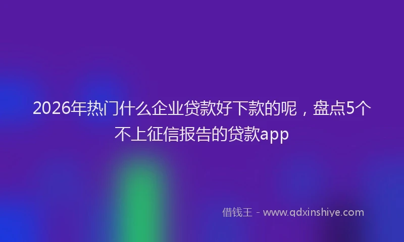 2026年热门什么企业贷款好下款的呢，盘点5个不上征信报告的贷款app
