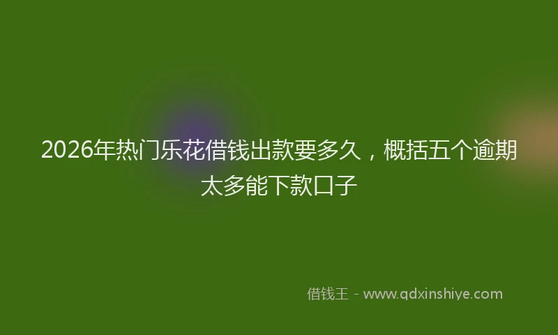 2026年热门乐花借钱出款要多久，概括五个逾期太多能下款口子