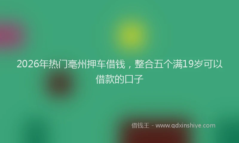 2026年热门亳州押车借钱，整合五个满19岁可以借款的口子