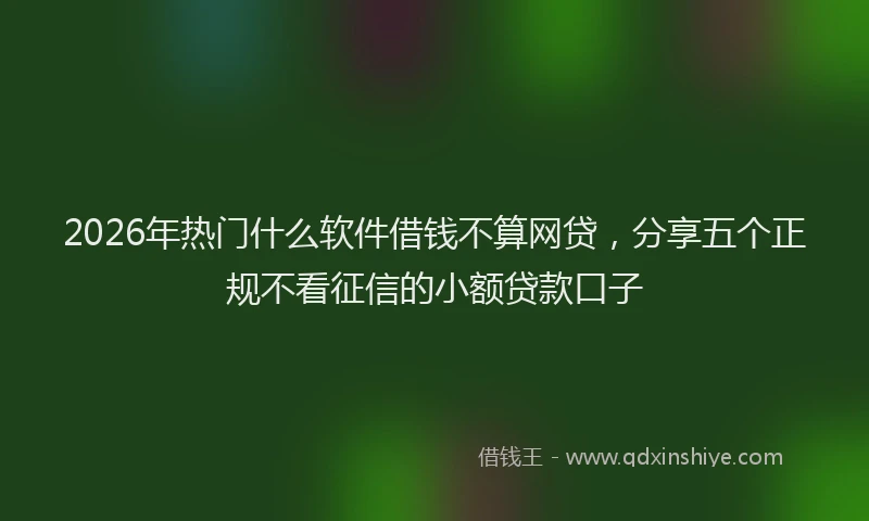 2026年热门什么软件借钱不算网贷，分享五个正规不看征信的小额贷款口子