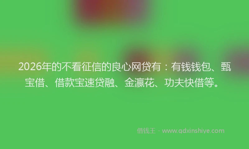 2026年的不看征信的良心网贷有：有钱钱包、甄宝借、借款宝速贷融、金瀛花、功夫快借等。