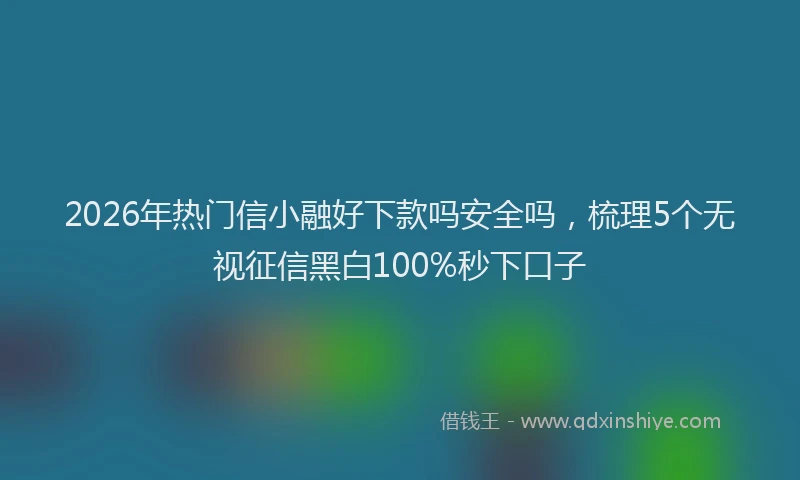 2026年热门信小融好下款吗安全吗，梳理5个无视征信黑白100%秒下口子