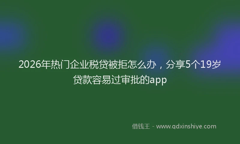 2026年热门企业税贷被拒怎么办，分享5个19岁贷款容易过审批的app