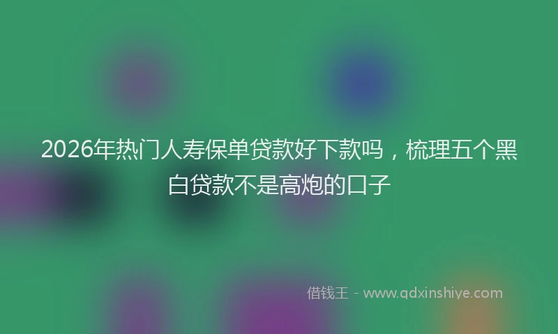 2026年热门人寿保单贷款好下款吗，梳理五个黑白贷款不是高炮的口子