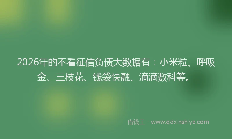 2026年的不看征信负债大数据有：小米粒、呼吸金、三枝花、钱袋快融、滴滴数科等。