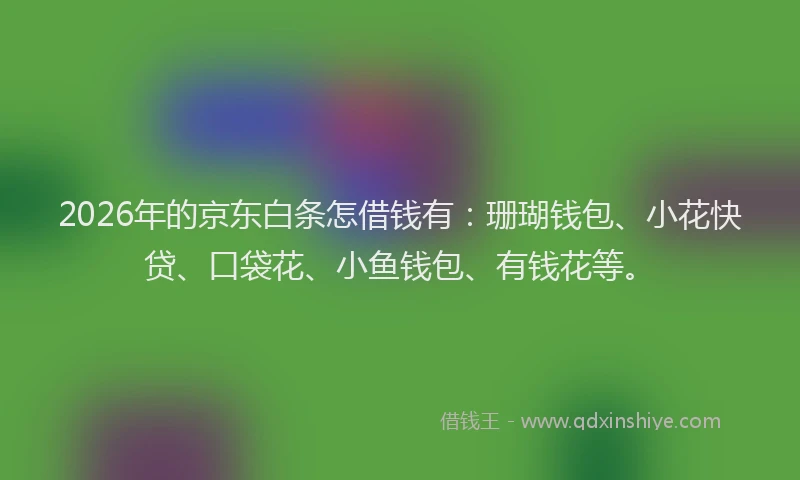2026年的京东白条怎借钱有：珊瑚钱包、小花快贷、口袋花、小鱼钱包、有钱花等。