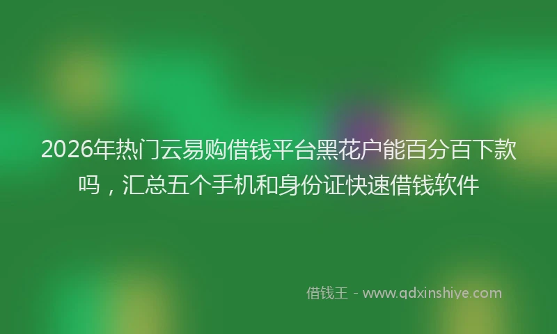 2026年热门云易购借钱平台黑花户能百分百下款吗，汇总五个手机和身份证快速借钱软件
