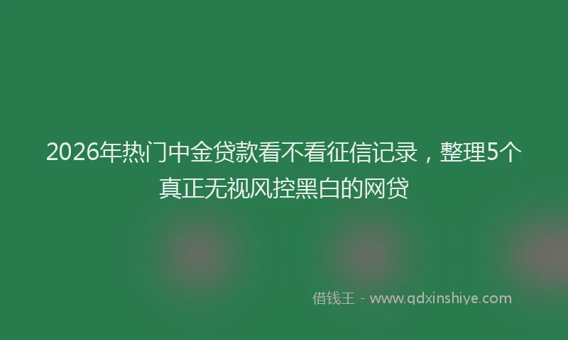 2026年热门中金贷款看不看征信记录，整理5个真正无视风控黑白的网贷
