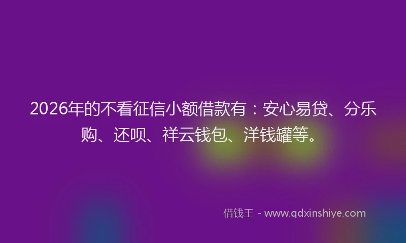 2026年的不看征信小额借款有：安心易贷、分乐购、还呗、祥云钱包、洋钱罐等。