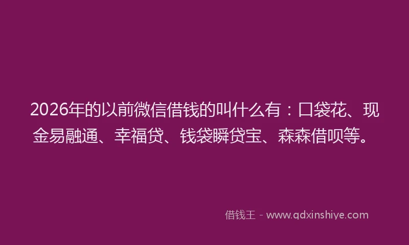 2026年的以前微信借钱的叫什么有：口袋花、现金易融通、幸福贷、钱袋瞬贷宝、森森借呗等。