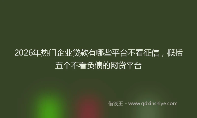 2026年热门企业贷款有哪些平台不看征信，概括五个不看负债的网贷平台