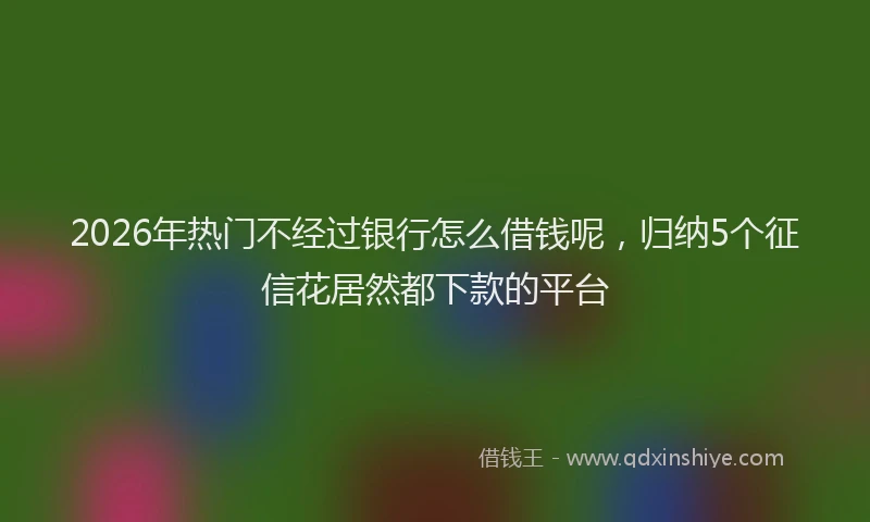 2026年热门不经过银行怎么借钱呢，归纳5个征信花居然都下款的平台