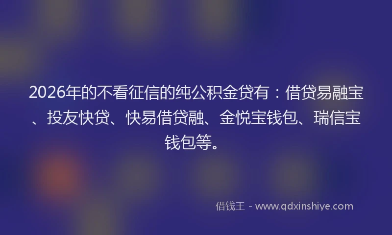 2026年的不看征信的纯公积金贷有：借贷易融宝、投友快贷、快易借贷融、金悦宝钱包、瑞信宝钱包等。
