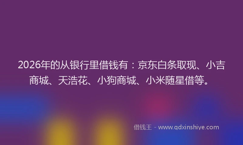 2026年的从银行里借钱有：京东白条取现、小吉商城、天浩花、小狗商城、小米随星借等。