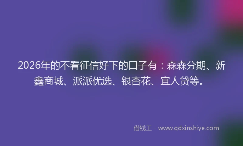 2026年的不看征信好下的口子有：森森分期、新鑫商城、派派优选、银杏花、宜人贷等。