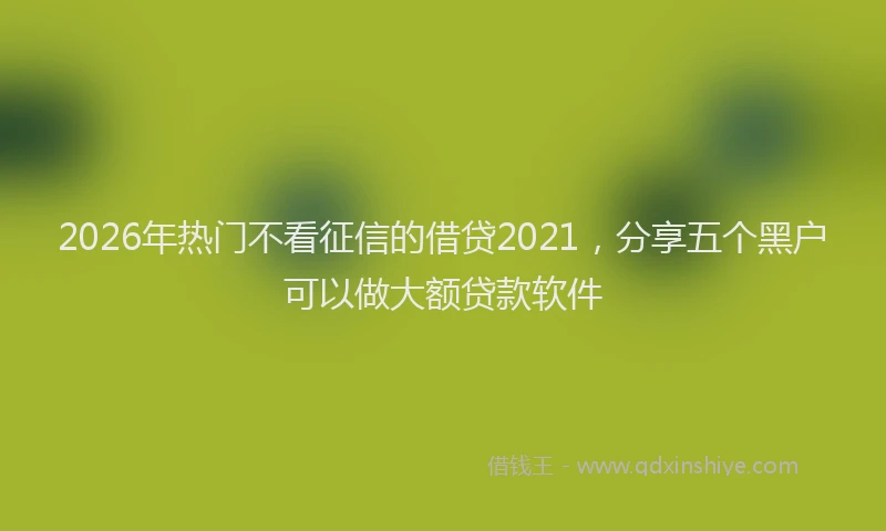 2026年热门不看征信的借贷2021，分享五个黑户可以做大额贷款软件